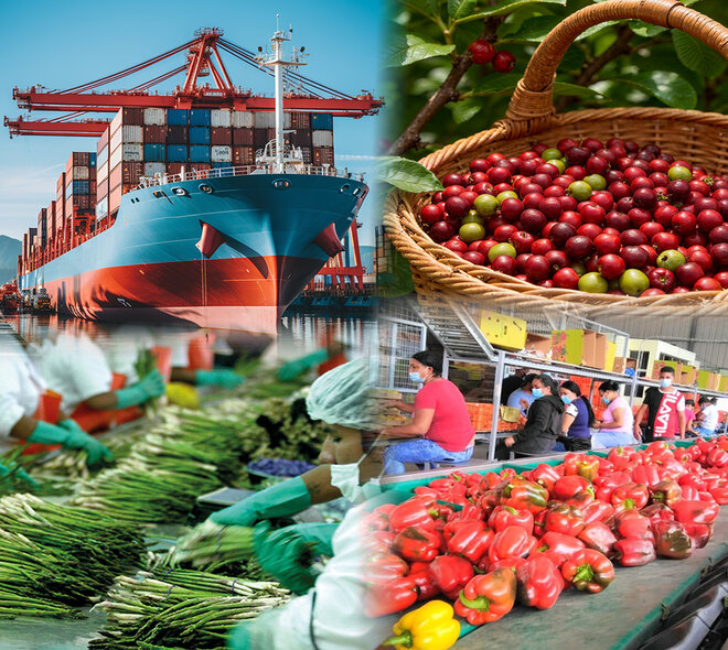 Estadísticas de Agroexportaciones